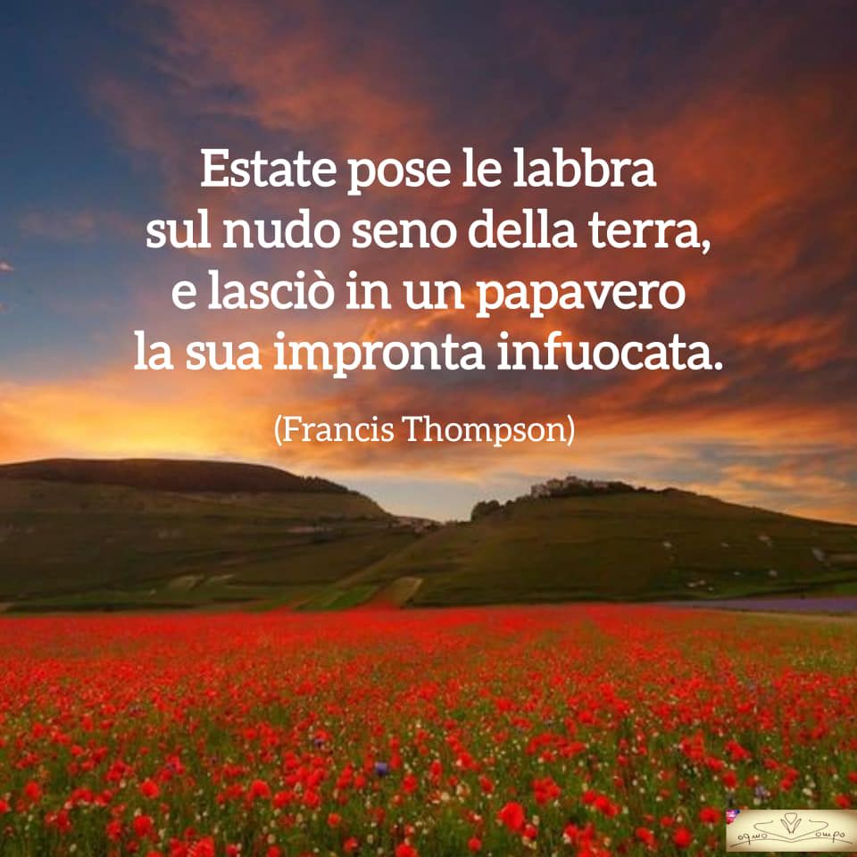 Fiori di campo - Frase sui papaveri di Francis Thompson