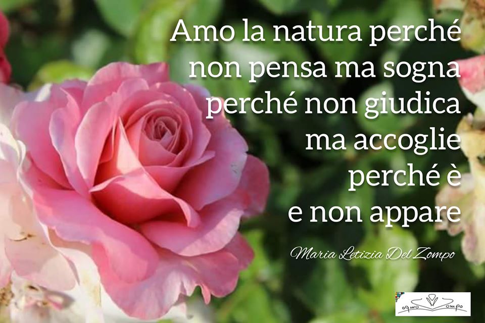 Giornata mondiale della Terra - frasi - Maria Letizia Del Zompo - Amo la natura perché non pensa ma sogna, perché non giudica ma accoglie, perché è e non appare