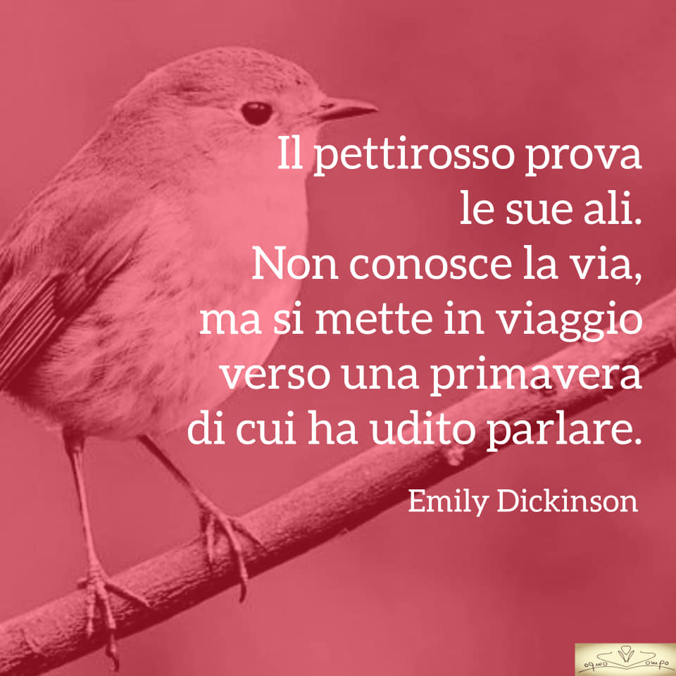 Poesie di Emily Dickinson - Il pettirosso prova le ali