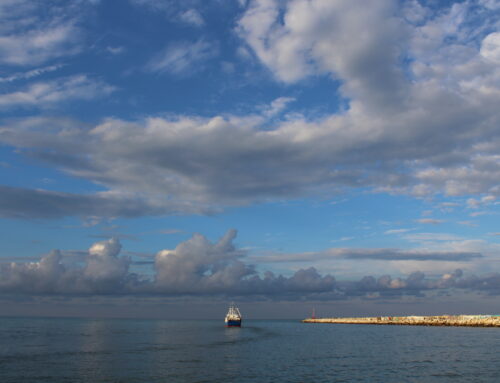 POESIE SUL MARE – 20 magnifiche liriche e versi brevi