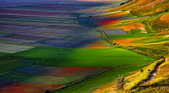 Castelluccio di Norcia tra Fioritura e webcam