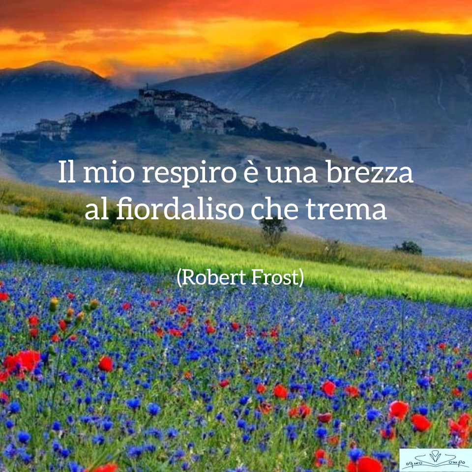 Fiori di campo - Fiordaliso - Robert Frost