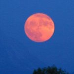 Omaggio alla luna – Poesie, frasi, citazioni, canzoni