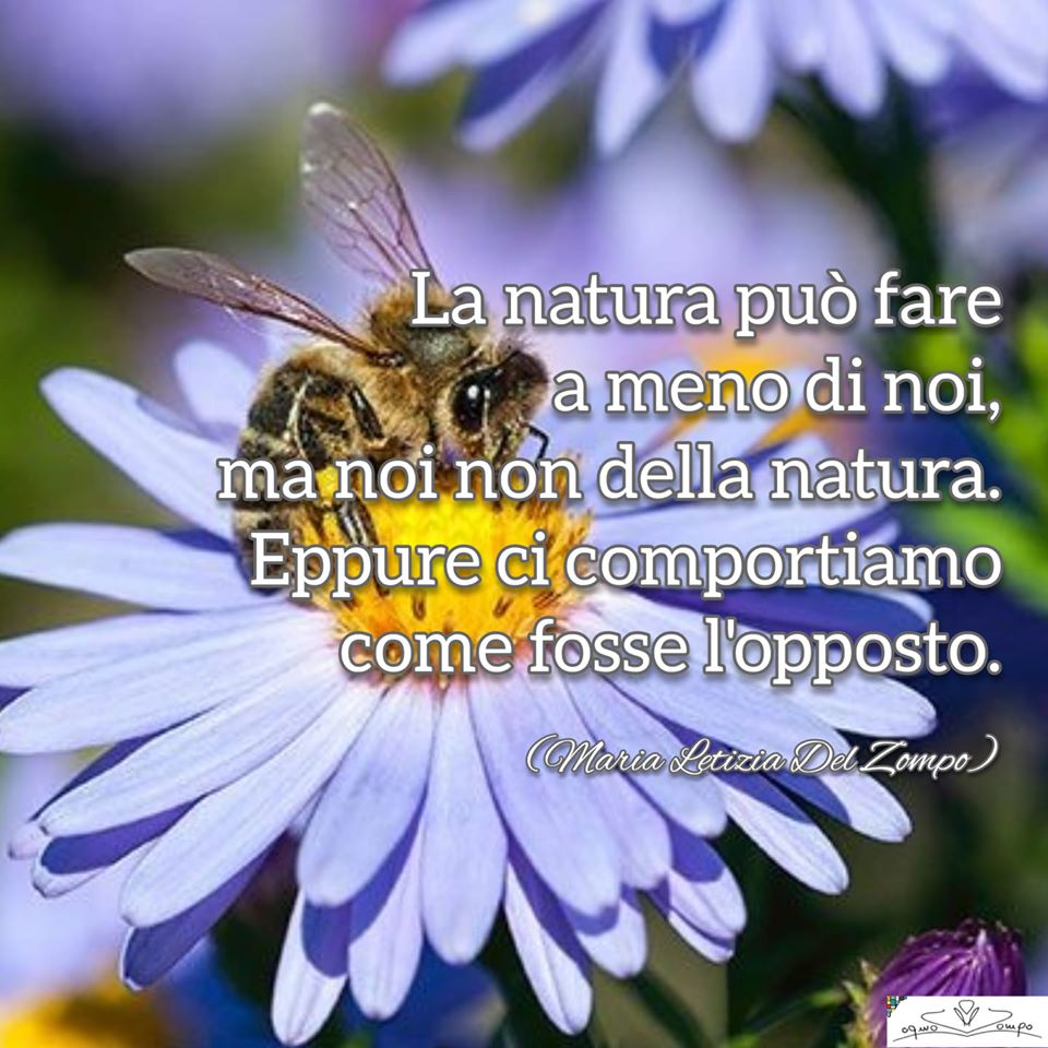 Giornata mondiale della Terra - frasi - Maria Letizia Del Zompo- La natura può fare ameno di noi, ma noi non della natura. Eppure ci comportiamo come fosse l'opposto.