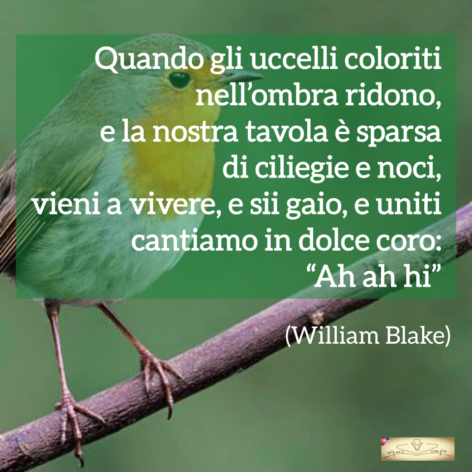 Poesie sulla gioia e la feicità - William Blake