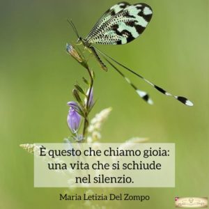 Poesie sulla gioia e la felicità - è questo che chiamo gioia - Maria Letizia Del Zompo