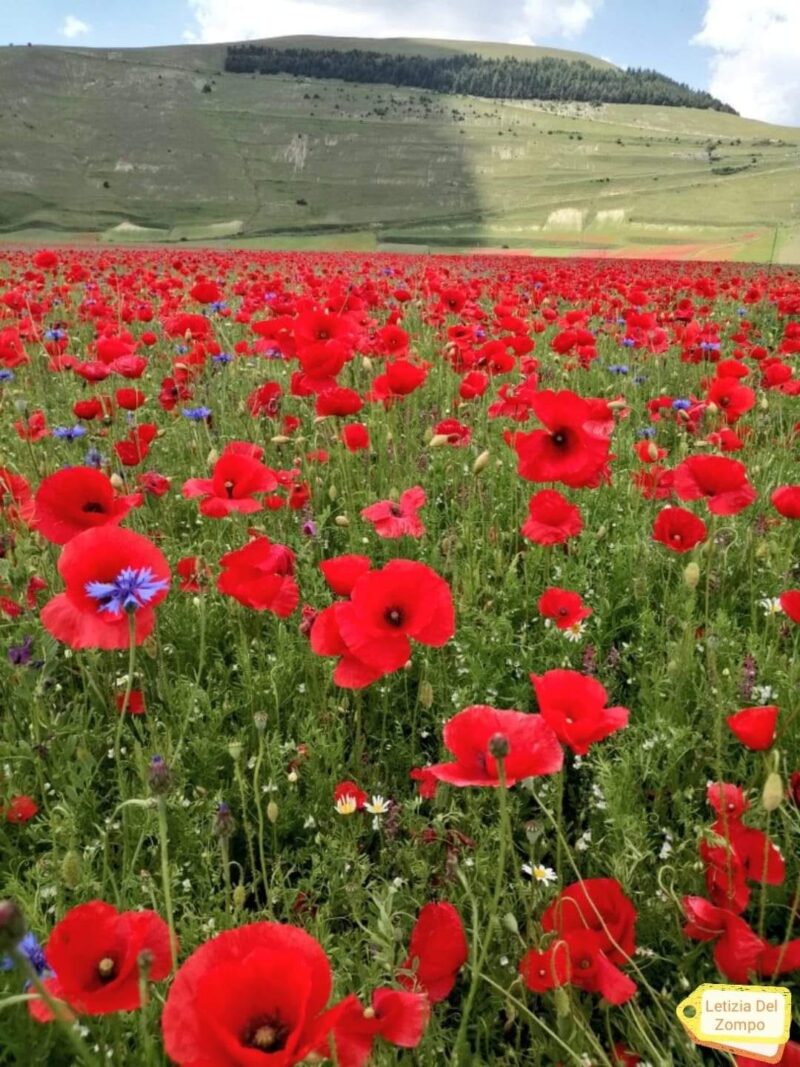 Quando il silenzio si fa parola