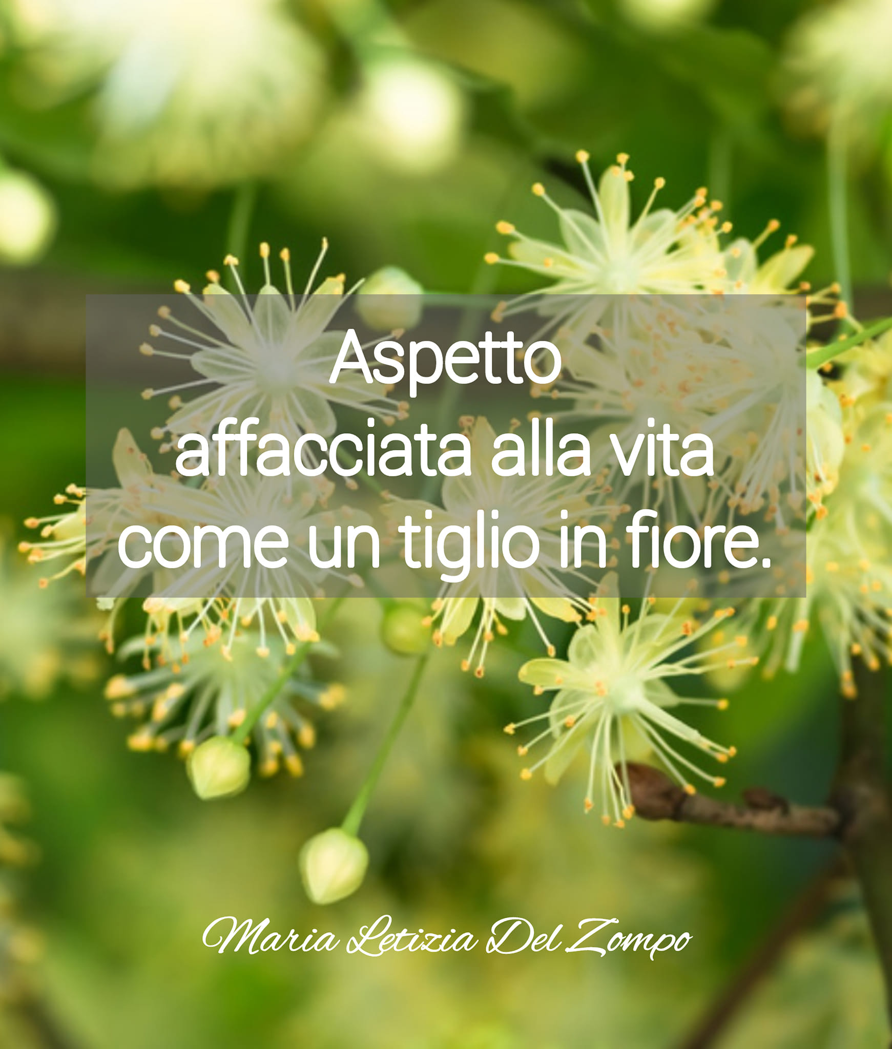 Poesie sulla primavera