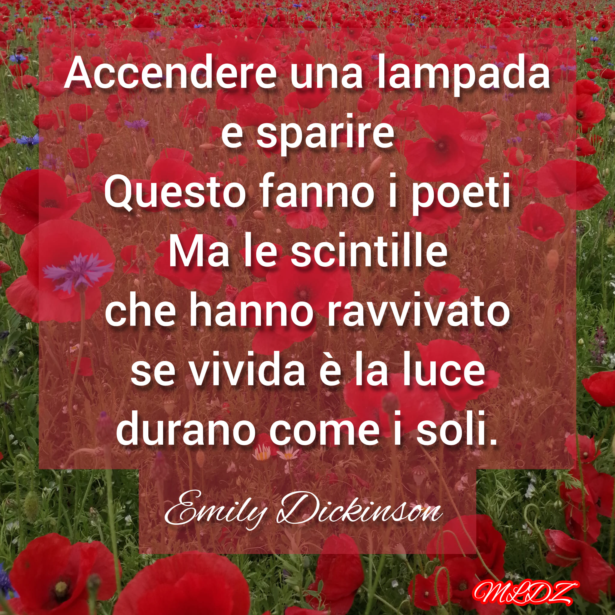 poesie e frasi sulla poesia