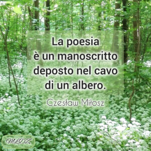 poesie e frasi sulla poesia